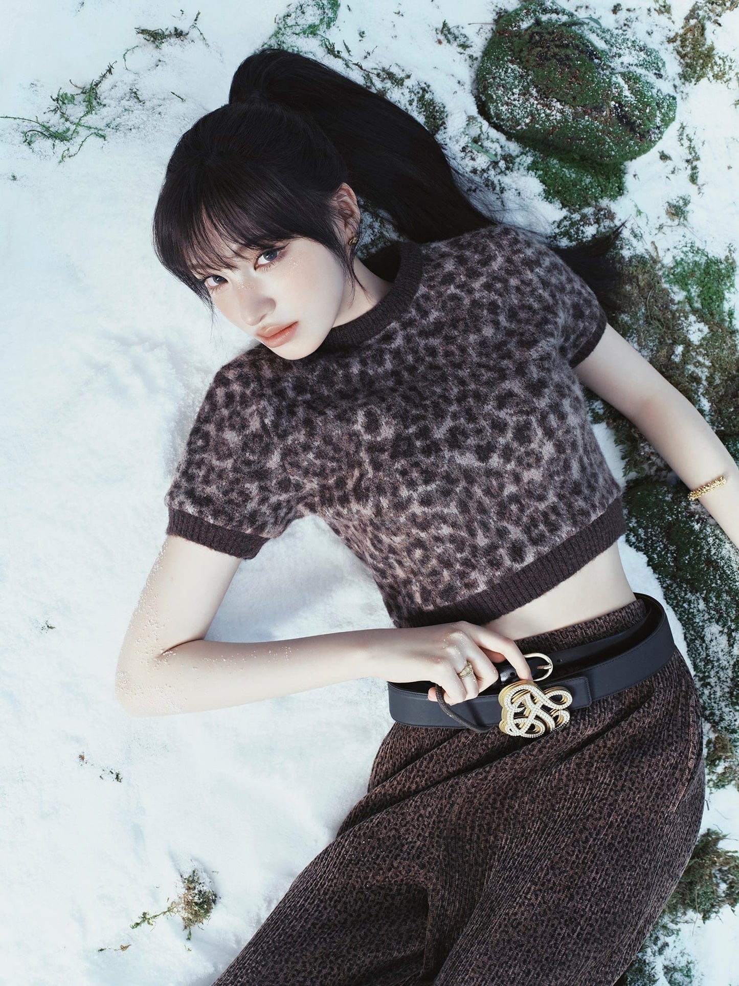 leopard print short sleeve pullover - brown