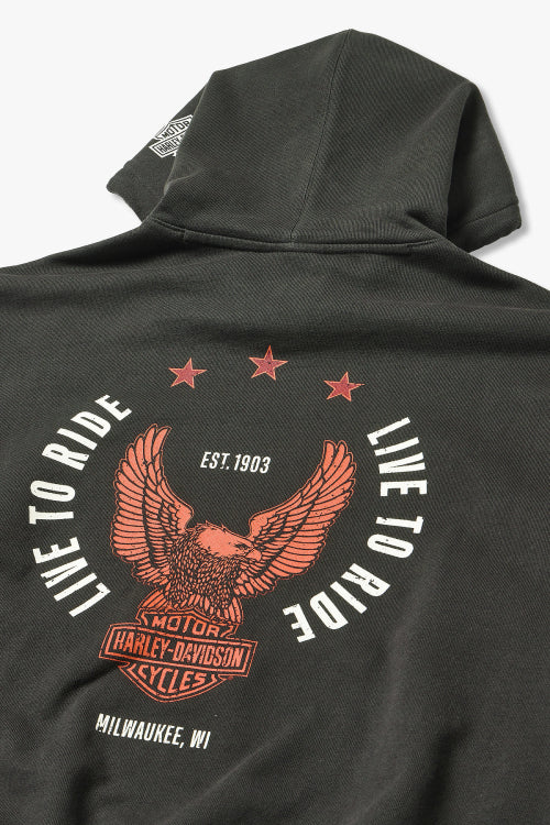 Harley-Davidson Eagle Hoodie_Charcoal HH15309332