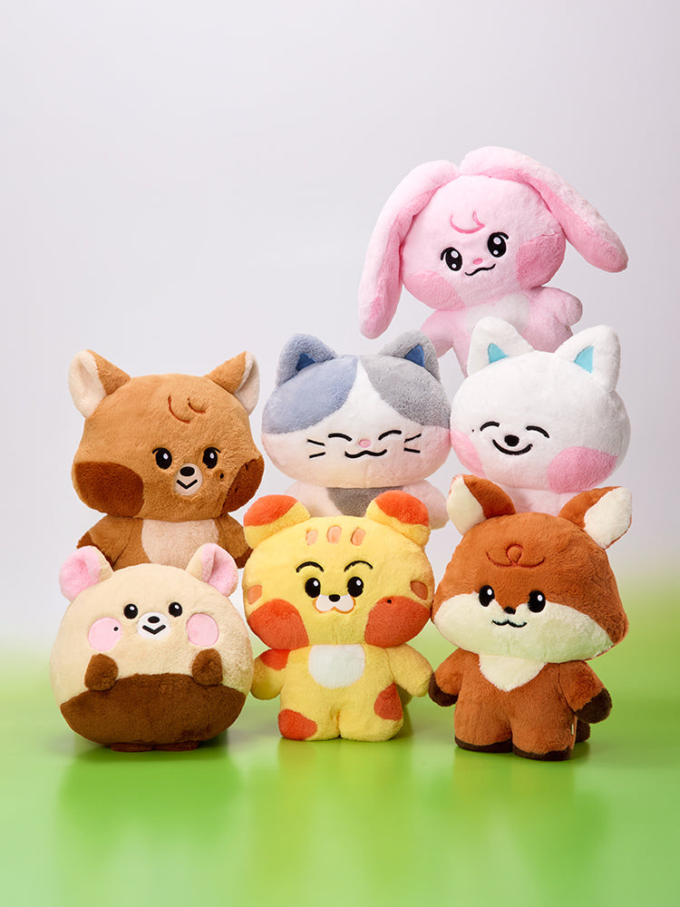 NCT DREAM DREAMS Large Flat Cushion