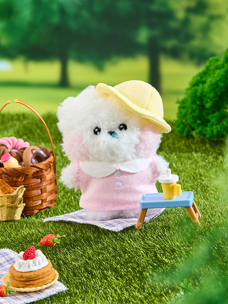 BT21 RJ Mini Mini Picnic Mate Doll