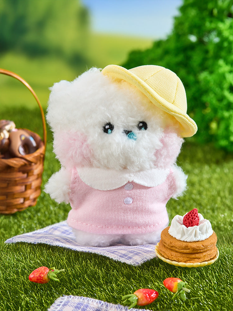 BT21 RJ Mini Mini Picnic Mate Doll