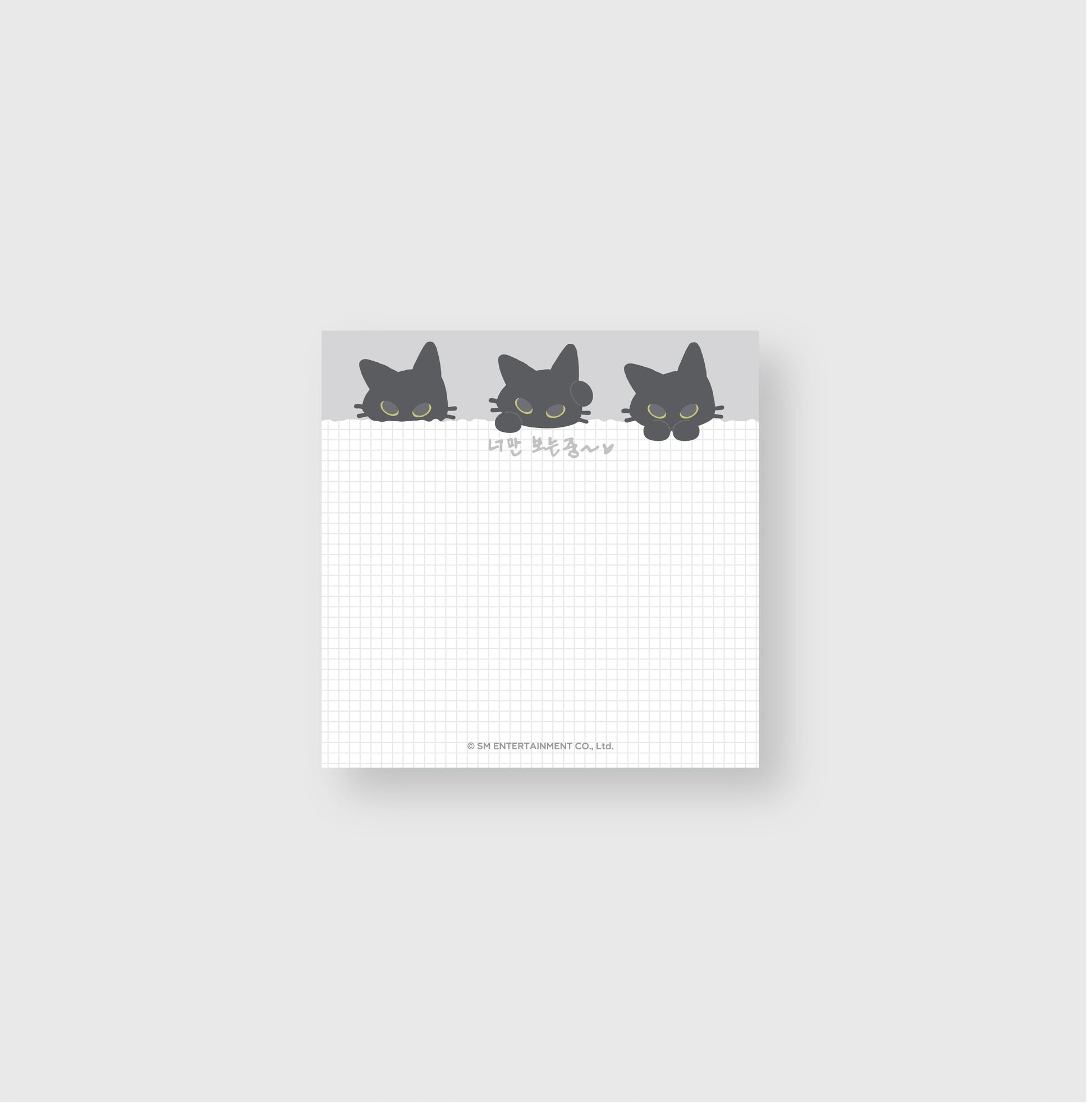 MEMO PAD - 2025 YESUNG CONCERT [We're the Complicated Kind] MD