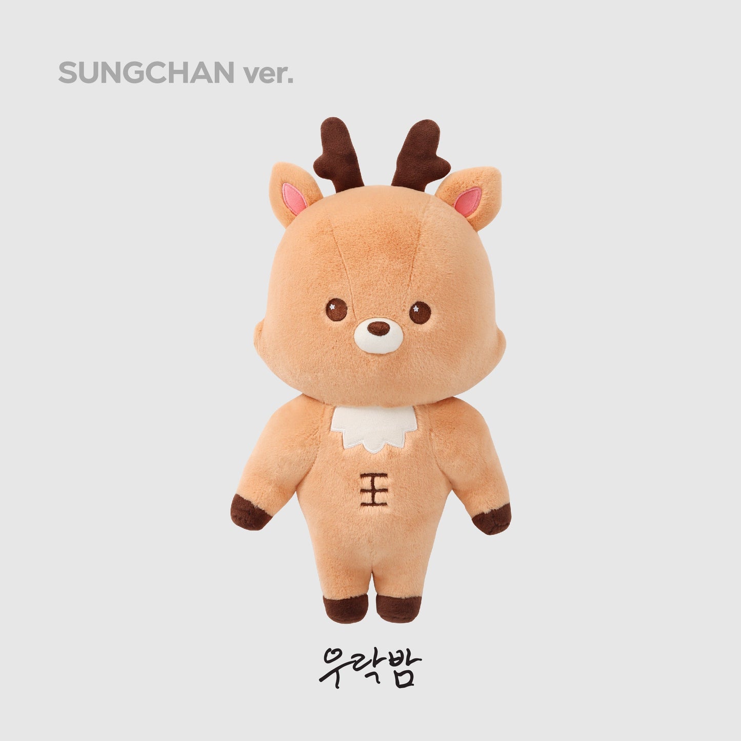 40CM DOLL - 2024 RIIZE FAN-CON 'RIIZING DAY' FINALE MD