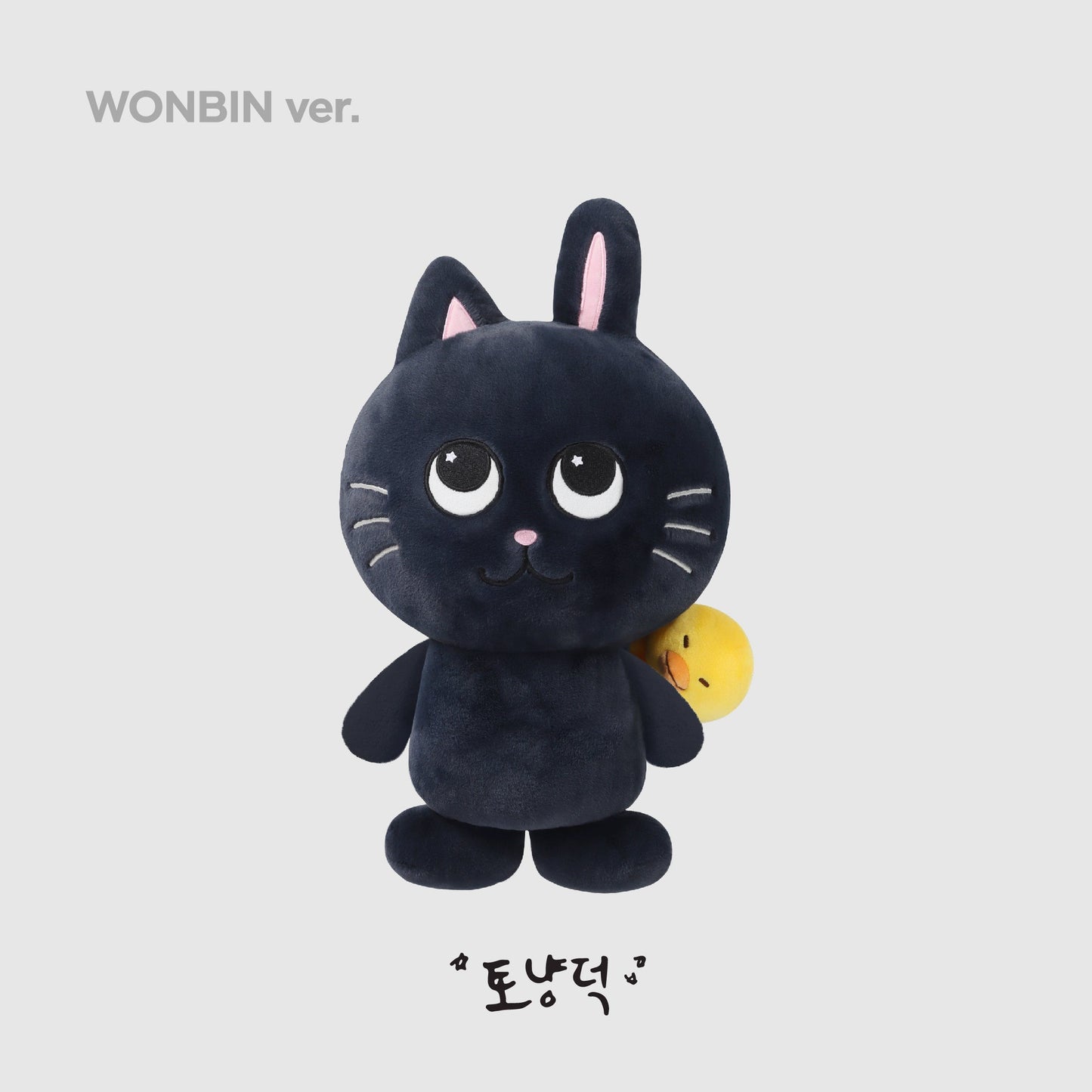 40CM DOLL - 2024 RIIZE FAN-CON 'RIIZING DAY' FINALE MD