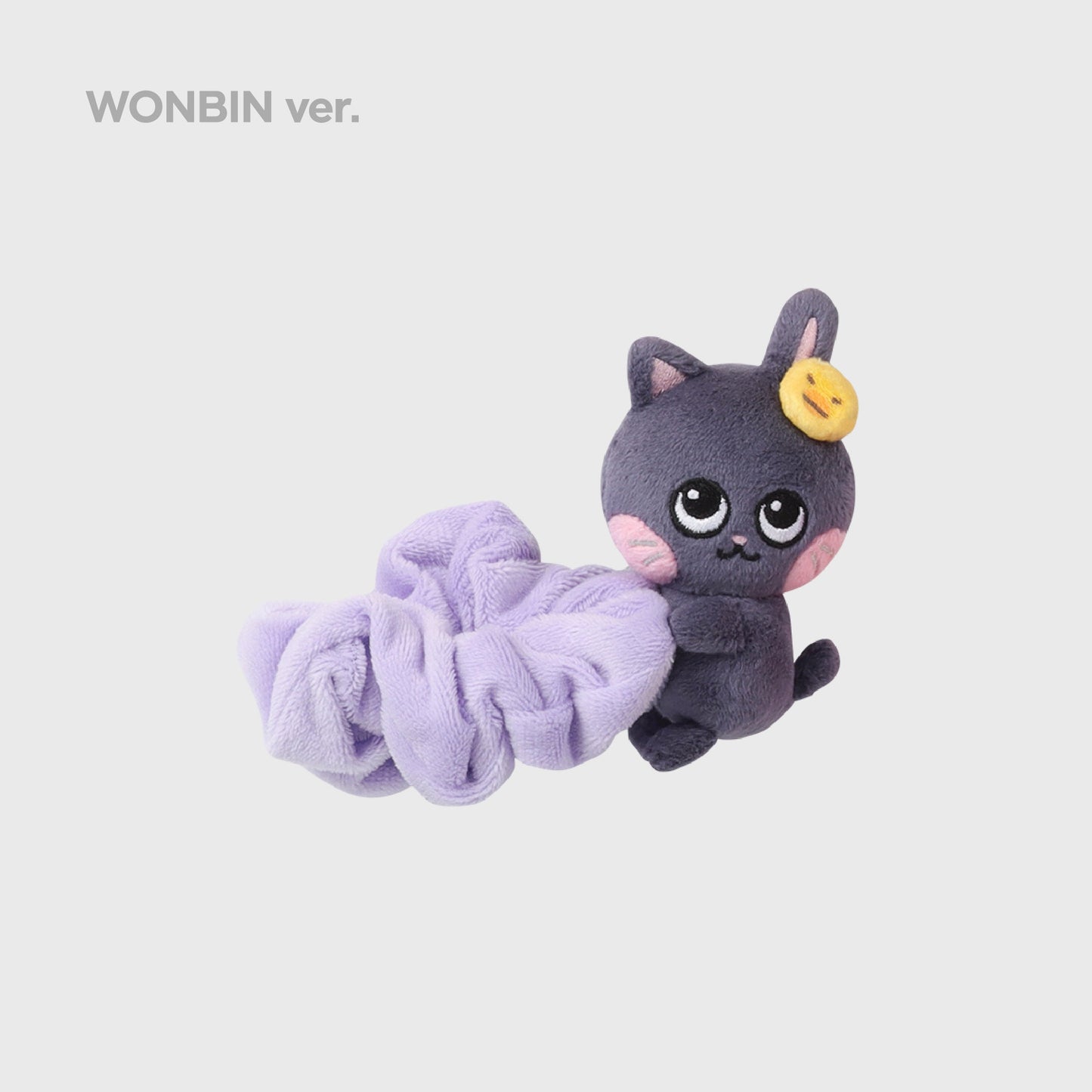 SCRUNCHIE - 2024 RIIZE FAN-CON 'RIIZING DAY' FINALE MD