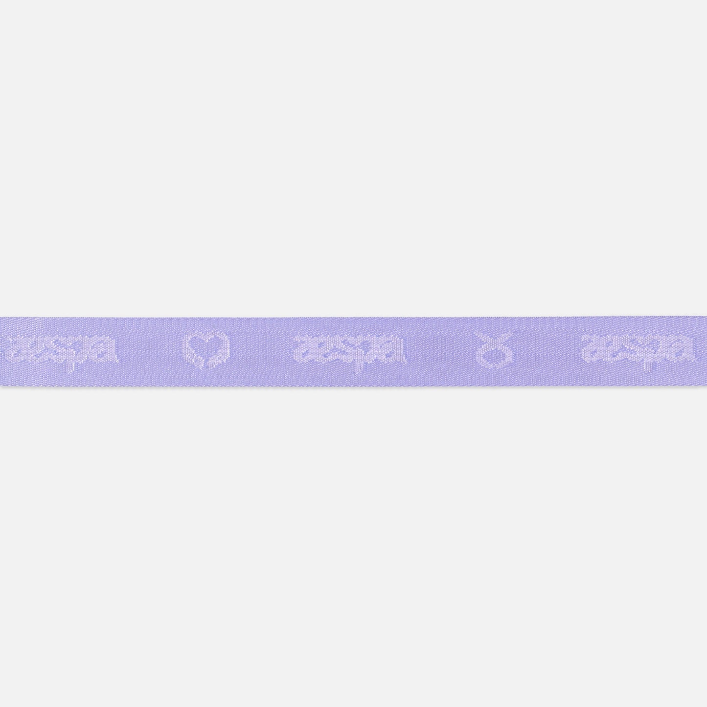 OFFICIAL FANLIGHT STRAP SET - 2024 aespa LIVE TOUR - SYNK : PARALLEL LINE MD