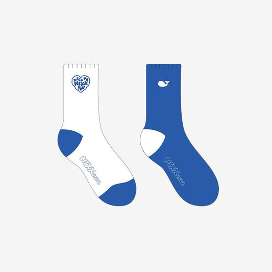 SOCKS SET - MIXX UNIVERSITY
