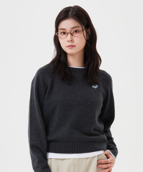 Women's Lily and Pen Color Pullover Gray
