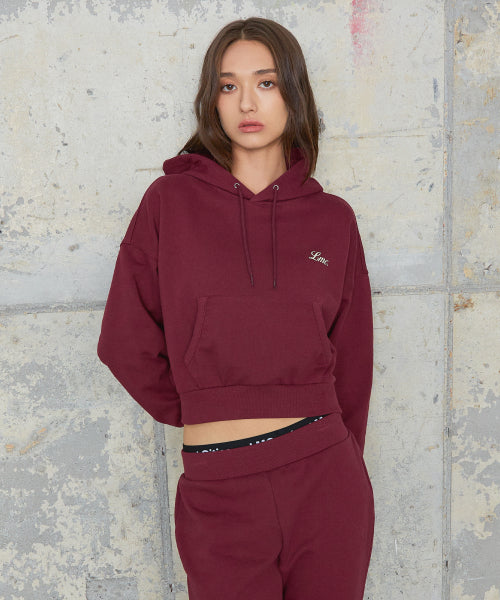 WM BACK LETTERING CROPPED HOODIE burgundy