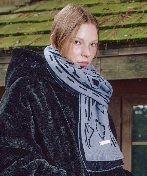 XTA096 Ethnic Two-Tone Reversible Muffler (BLUE/BLACK)
