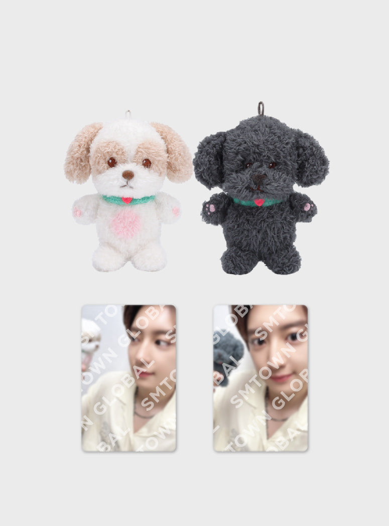 10CM DOLL SET - 2024 CHANYEOL LIVE TOUR : 都市風景 (City-scape) MD