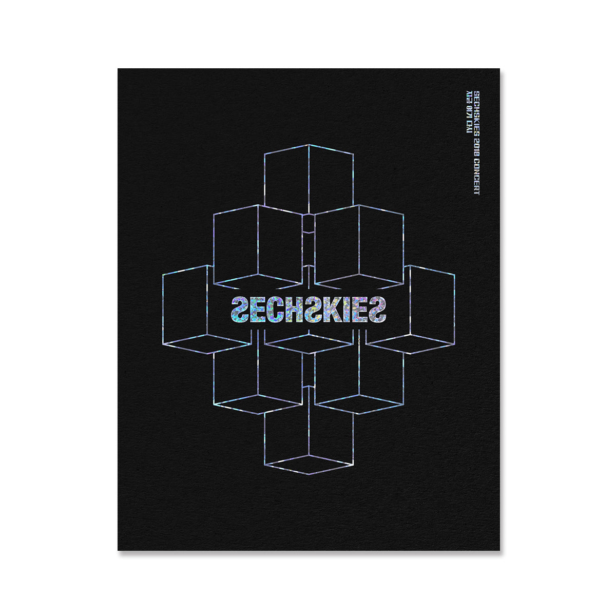 SECHSKIES 2018 CONCERT [Here and now again] LIVE CD & DVD - YG SELECT