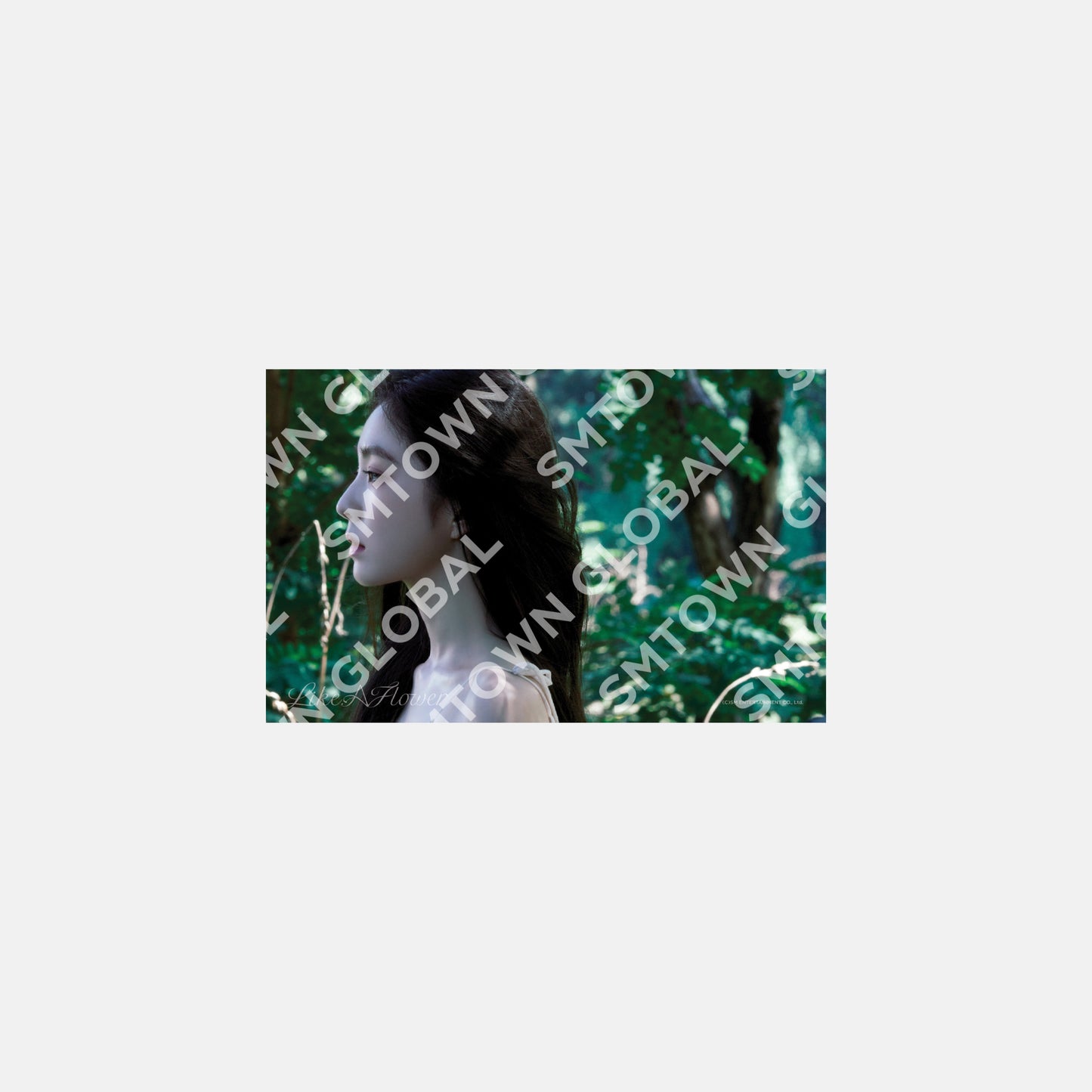 4X6 PHOTO SET - IRENE 'Like A Flower - The 1st Mini Album' MD