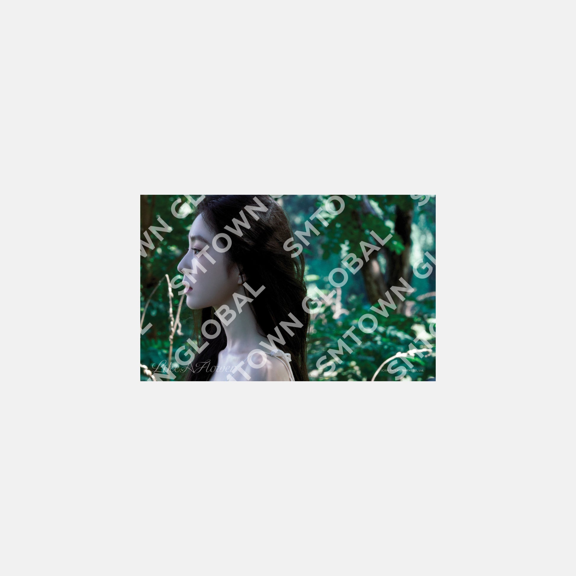 4X6 PHOTO SET - IRENE 'Like A Flower - The 1st Mini Album' MD