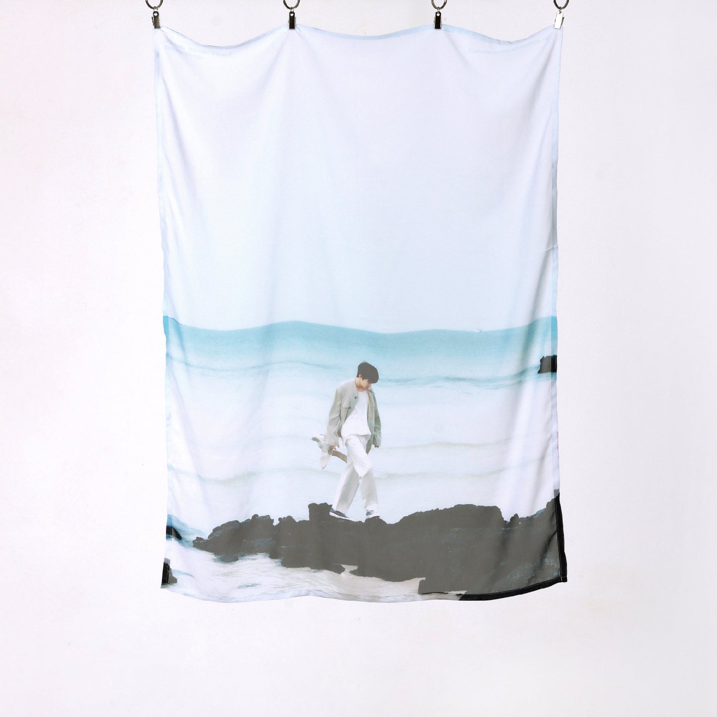 CHIFFON FABRIC POSTER SET - 2024 DOYOUNG CONCERT [ Dear Youth, ] MD