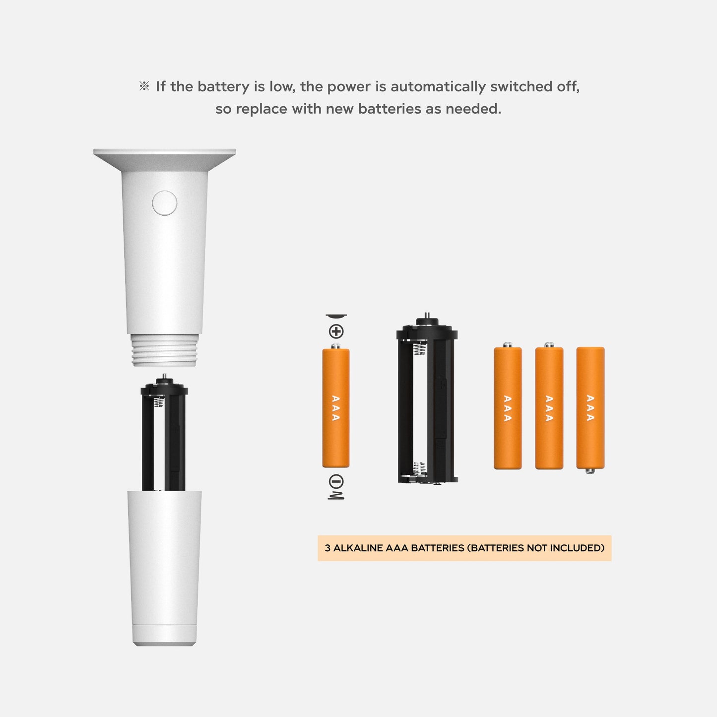 RIIZE Official Fanlight