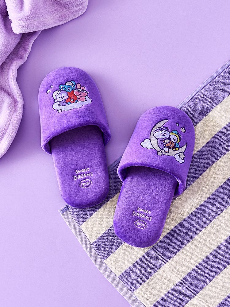 BT21 NEW BASIC Sweet Dream Home Slipper