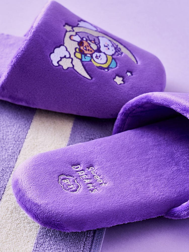 BT21 NEW BASIC Sweet Dream Home Slipper