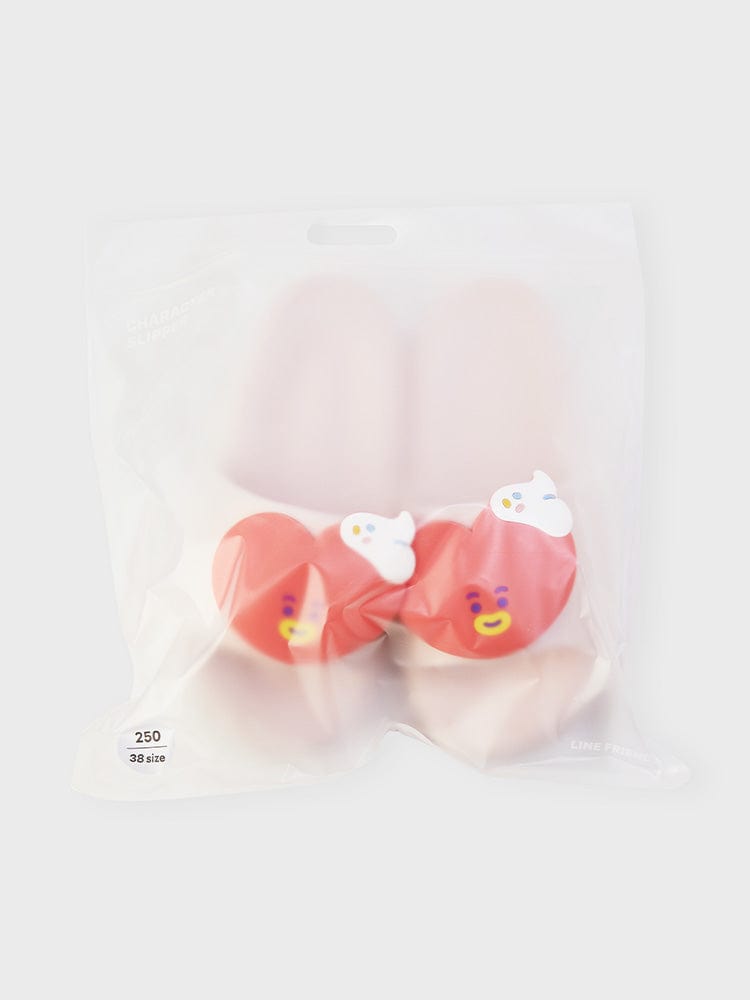 BT21 On the Cloud TATA Slippers