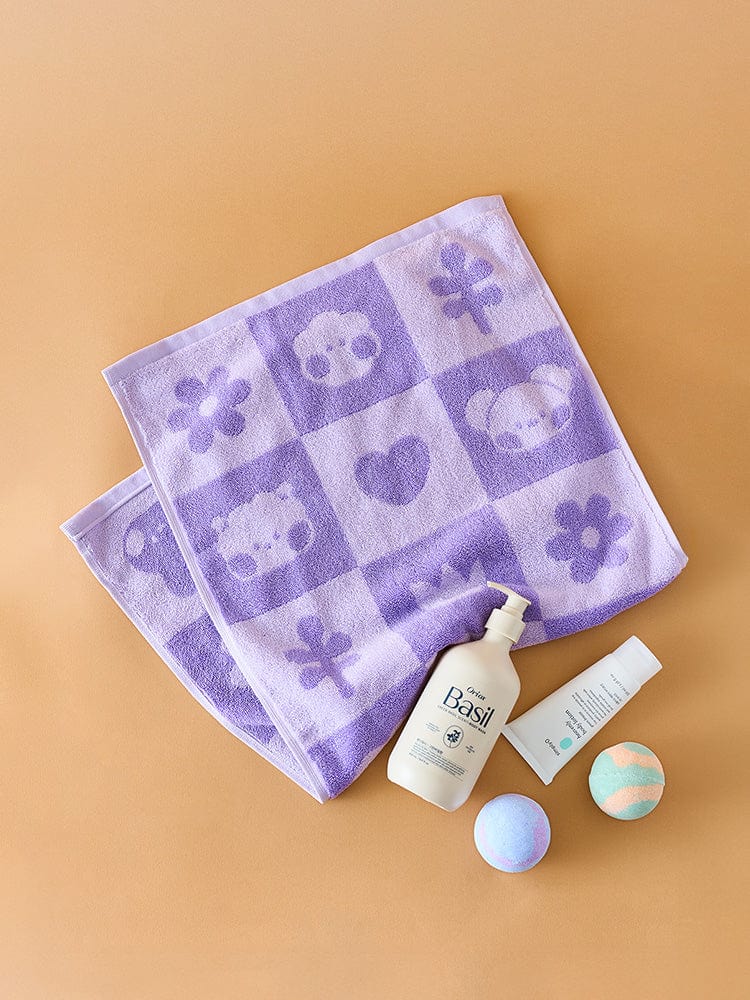 BT21 Basic Towel Gift Set (2 PCS)