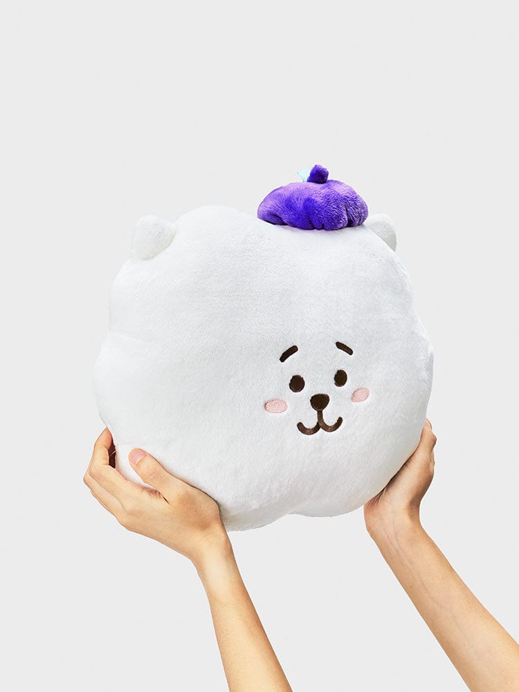 BT21 RJ Hope In Love Face Cushion