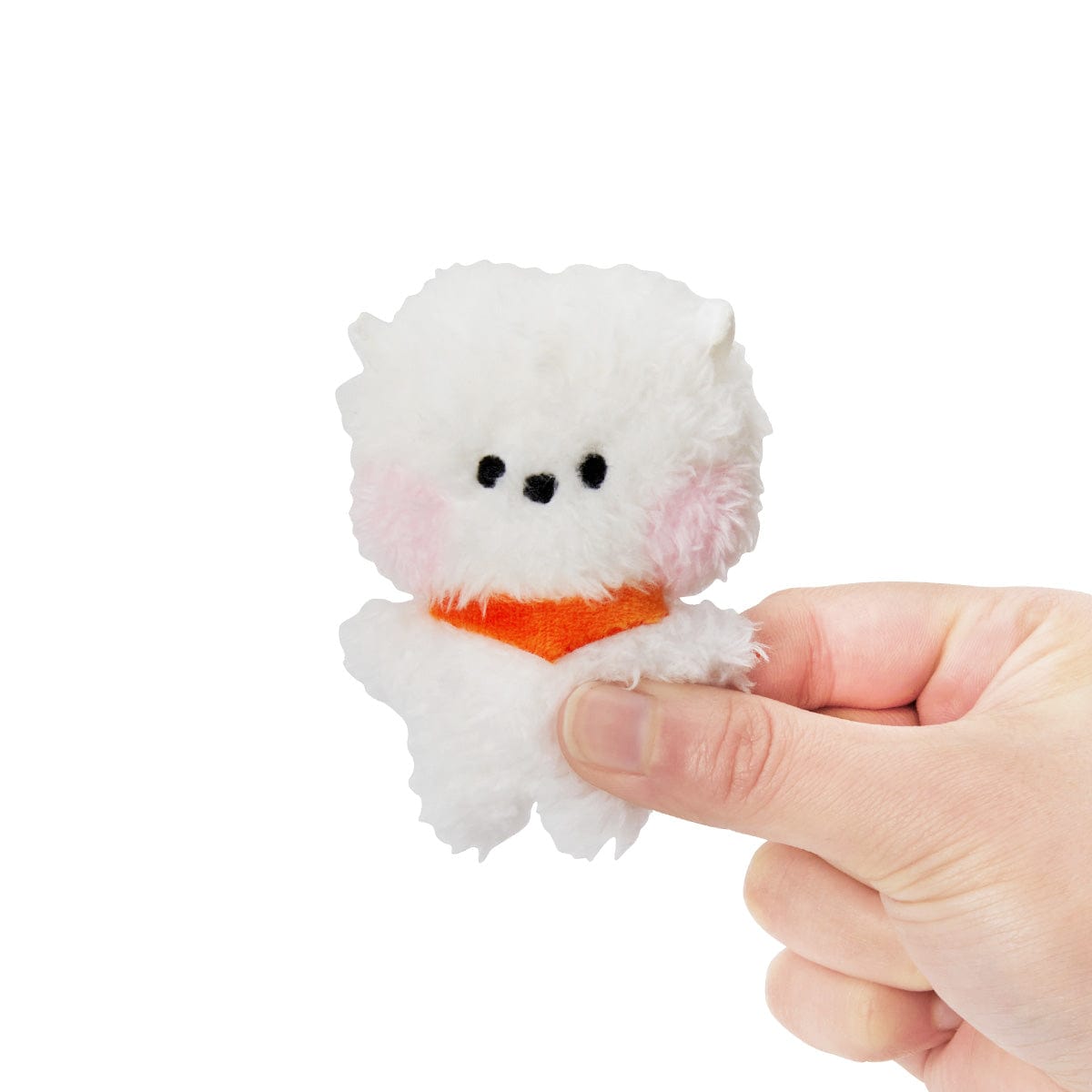 BT21 RJ Mini Mini Doll