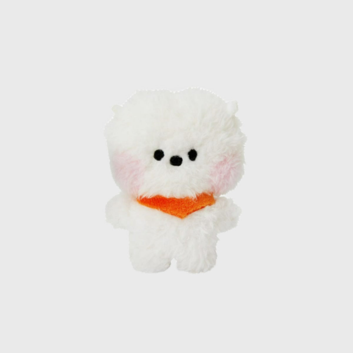 BT21 RJ Mini Mini Doll