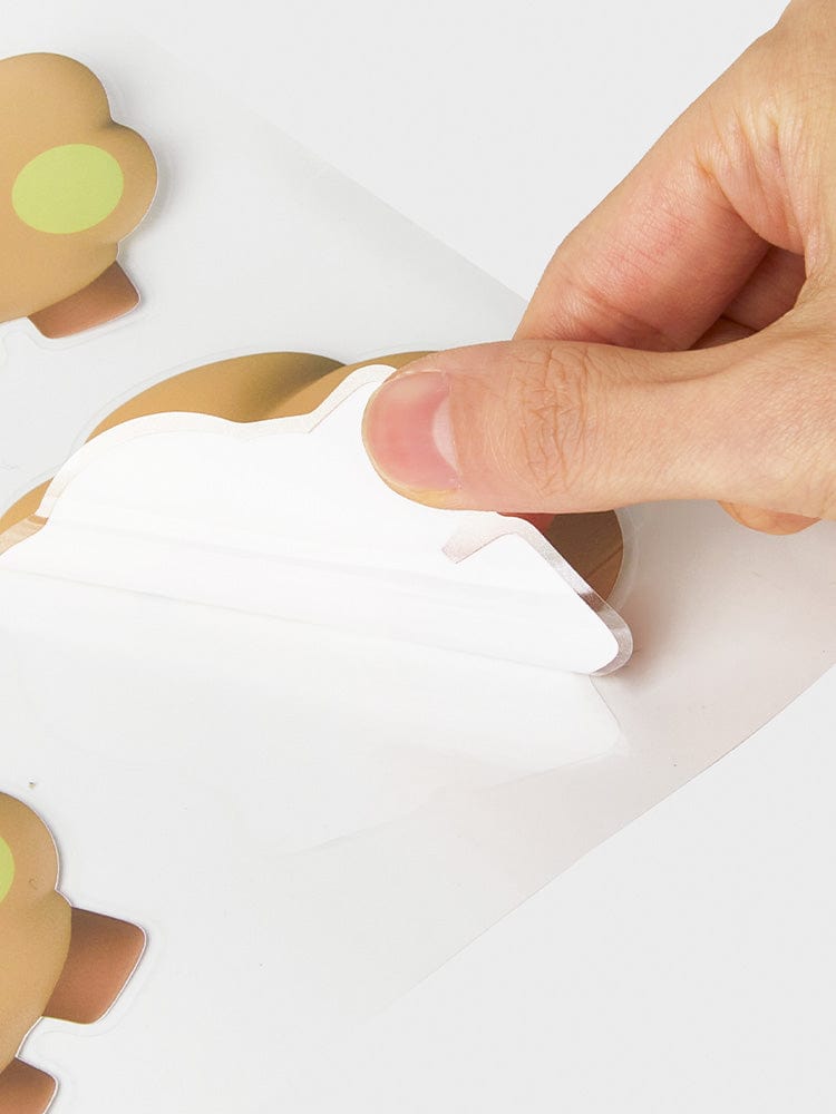 BT21 SHOOKY Big & Tiny Removable Sticker