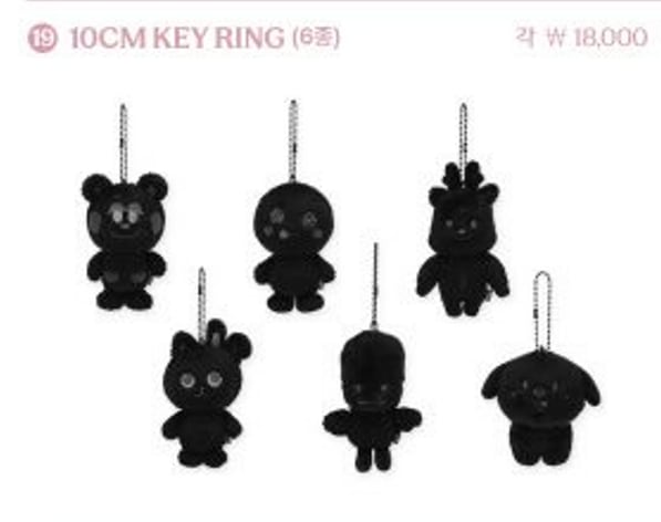 RIIZE PHOTO EXHIBITION [Silence: Inside the Fame] MD -preorder-  ⑲10CM KEY RING