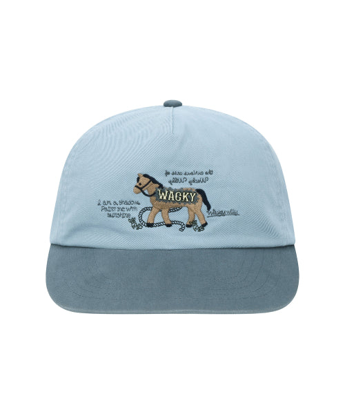 Halls Panel Cap Blue