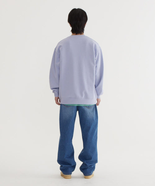 REGULAR-FIT WASHING DENIM PANTS