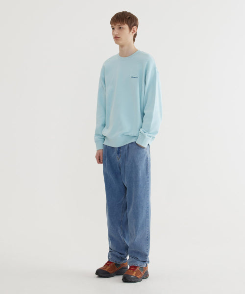 SMALL AUTHENTIC LOGO SWEATSHIRT