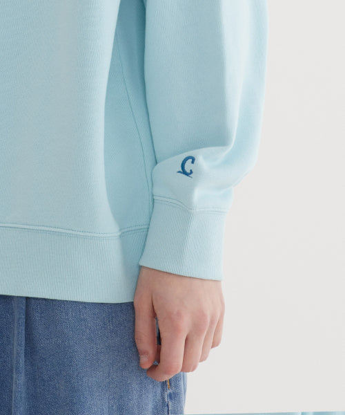 SMALL AUTHENTIC LOGO SWEATSHIRT