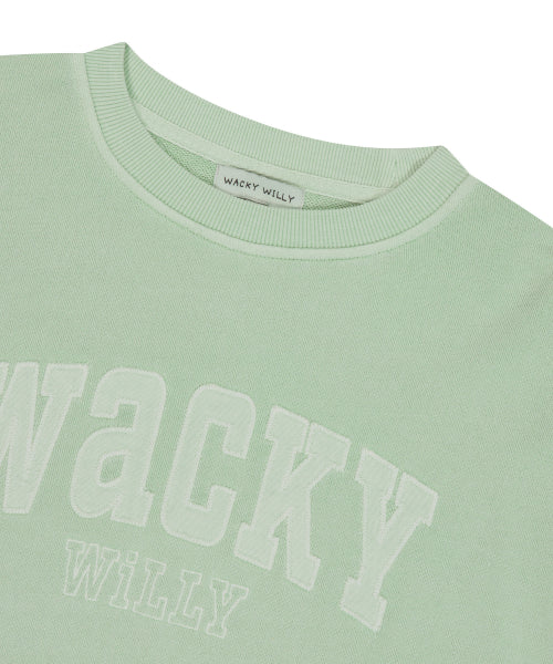 Women's Semi-Overfit Pigment Sweatshirt Mint