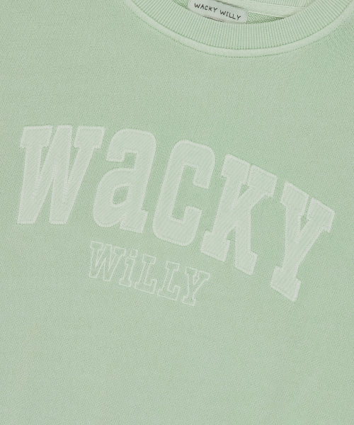 Women's Semi-Overfit Pigment Sweatshirt Mint