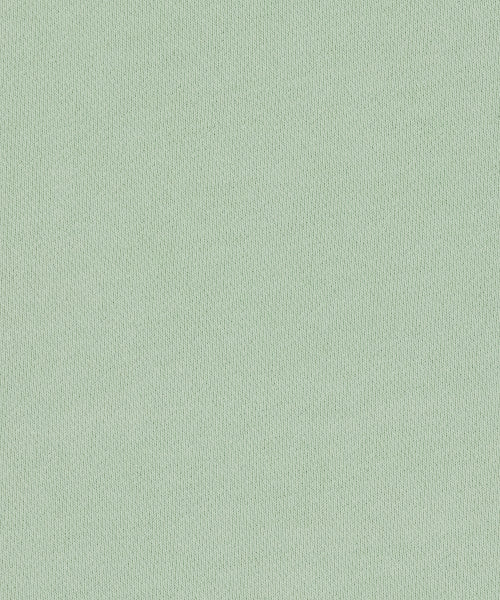 Women's Semi-Overfit Pigment Sweatshirt Mint