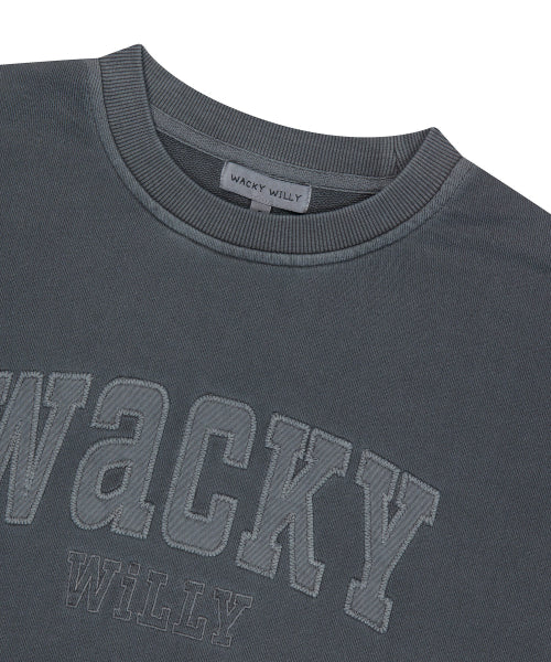Women's Semi-Overfit Pigment Sweatshirt Gray