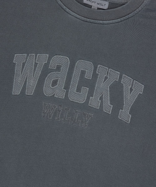 Women's Semi-Overfit Pigment Sweatshirt Gray