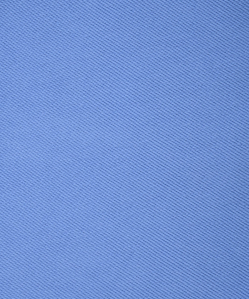 Signature Typo Logo Sweat Shorts Blue