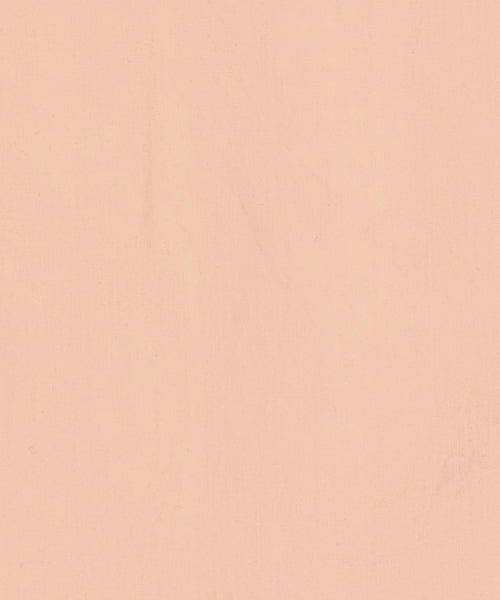 Wappen Stripe Short Sleeve Shirt Orange