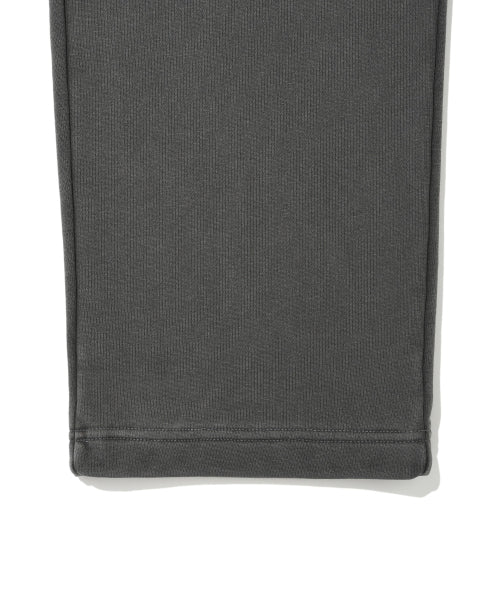 Pigment Kick Sweat Pants Gray