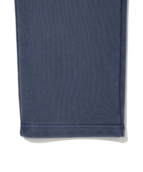 Pigment Kick Sweat Pants Blue