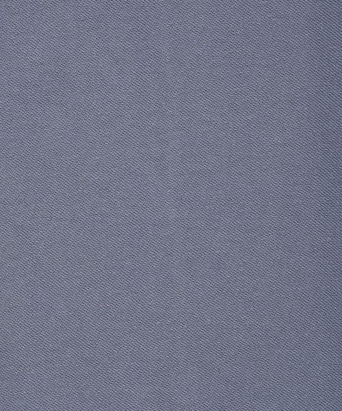 Pigment Type Sweat Pants Blue