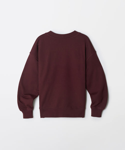 [French Terry] V-neck sweatshirt_SPMWF49G12
