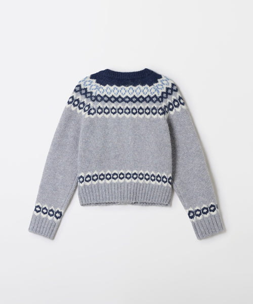 Fair Isle Cardigan_SPCKF4VGY1