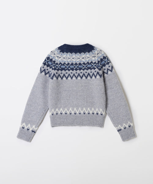 Fair Isle Sweater_SPKWF4VGY1