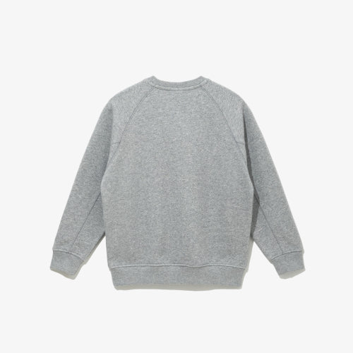 APK ESSENTIAL CREW NECK RL53 HGRY