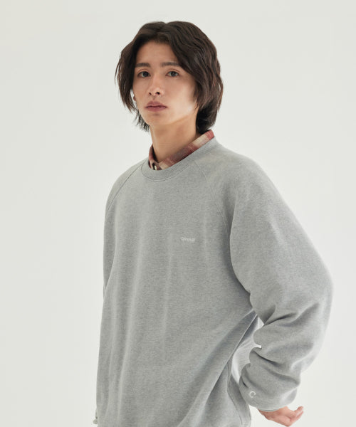 SMALL LOGO BRUSHED SWEATSHIRT