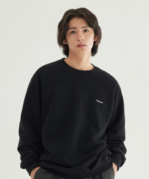 SMALL LOGO BRUSHED SWEATSHIRT