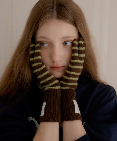 Puppy Label Stripe Gloves (Brown)